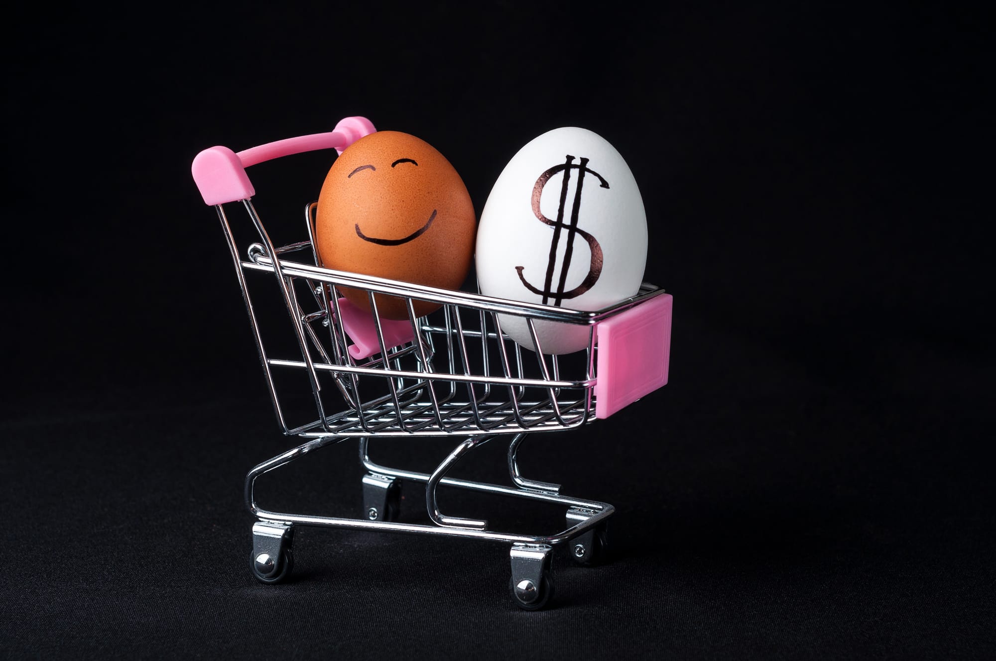 A brown egg with a drawn-on smiley face and a white egg with a black dollar sign sit in a small, silver shopping cart with a pink handle. The eggs are the main focus of the composition.