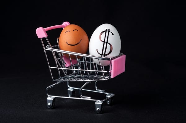 A brown egg with a drawn-on smiley face and a white egg with a black dollar sign sit in a small, silver shopping cart with a pink handle. The eggs are the main focus of the composition.